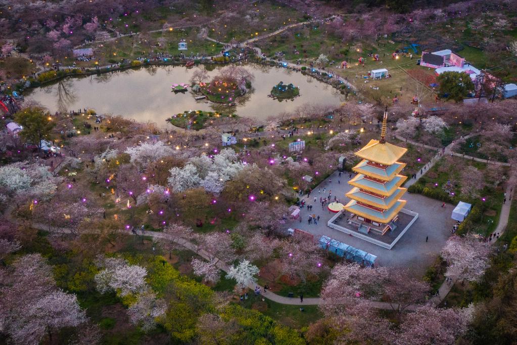 07ae7800cb93ec2a8f8c5bec46c120da_1129438049_16789785452551n.jpg 07ae7800cb93ec2a8f8c5bec46c120da_1129438049_16789785452551n.jpg