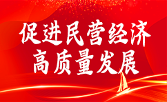 促進(jìn)民營經(jīng)濟(jì)高質(zhì)量發(fā)展