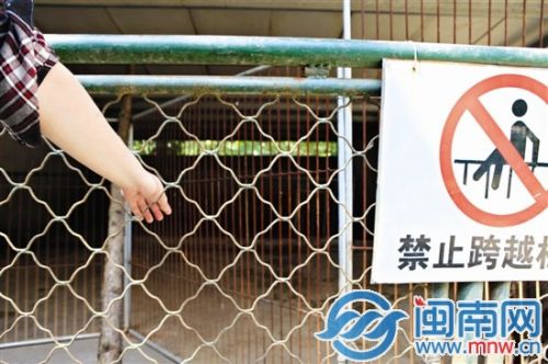 漳州3歲童動物園看野豬小指被吞食 園方：愿賠償