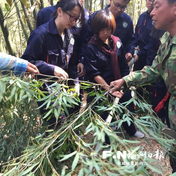 臺(tái)灣大學(xué)生來榕學(xué)習(xí)飼養(yǎng)熊貓