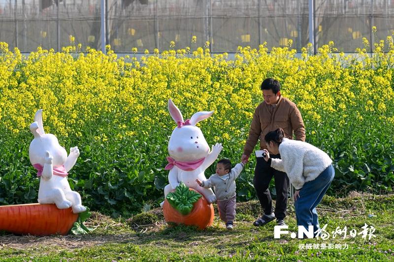 福州百花盛開，“賞花經濟”如何持久綻放？